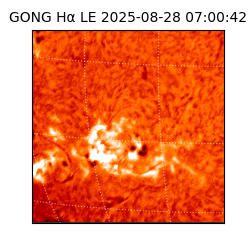 gong - 2025-08-28T07:00:42