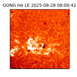 gong - 2025-08-28T08:00:42