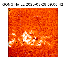 gong - 2025-08-28T09:00:42