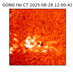 gong - 2025-08-28T12:00:42