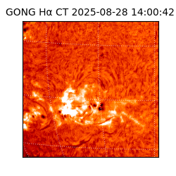 gong - 2025-08-28T14:00:42