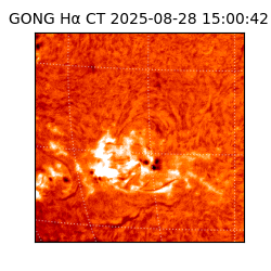gong - 2025-08-28T15:00:42