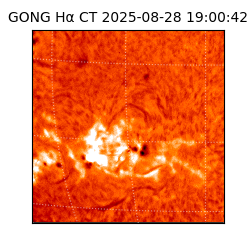 gong - 2025-08-28T19:00:42