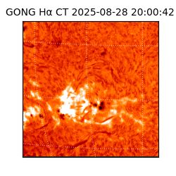 gong - 2025-08-28T20:00:42
