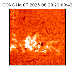 gong - 2025-08-28T21:00:42