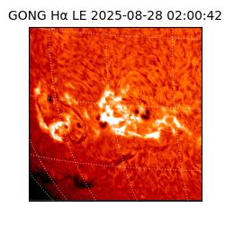 gong - 2025-08-28T02:00:42