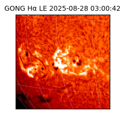 gong - 2025-08-28T03:00:42