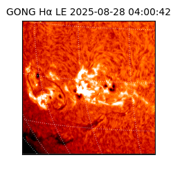 gong - 2025-08-28T04:00:42