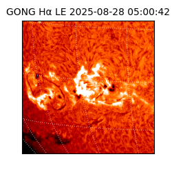 gong - 2025-08-28T05:00:42