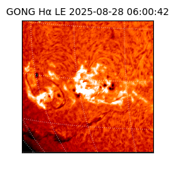 gong - 2025-08-28T06:00:42