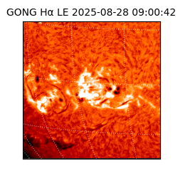 gong - 2025-08-28T09:00:42