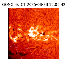 gong - 2025-08-28T12:00:42