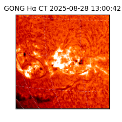 gong - 2025-08-28T13:00:42