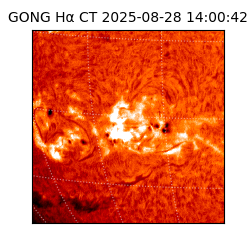 gong - 2025-08-28T14:00:42