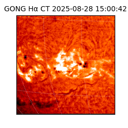 gong - 2025-08-28T15:00:42