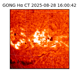 gong - 2025-08-28T16:00:42
