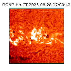 gong - 2025-08-28T17:00:42