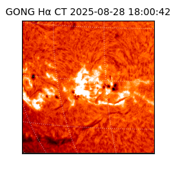 gong - 2025-08-28T18:00:42