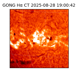 gong - 2025-08-28T19:00:42