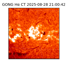 gong - 2025-08-28T21:00:42