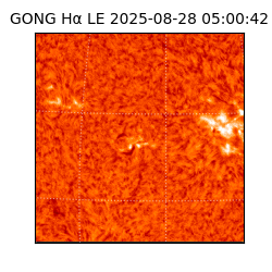 gong - 2025-08-28T05:00:42