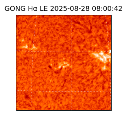 gong - 2025-08-28T08:00:42