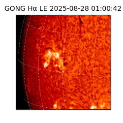 gong - 2025-08-28T01:00:42