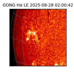 gong - 2025-08-28T02:00:42