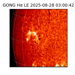 gong - 2025-08-28T03:00:42