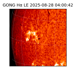 gong - 2025-08-28T04:00:42