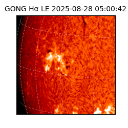 gong - 2025-08-28T05:00:42