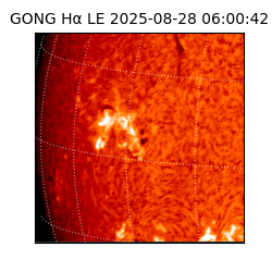 gong - 2025-08-28T06:00:42
