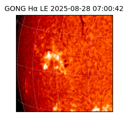 gong - 2025-08-28T07:00:42