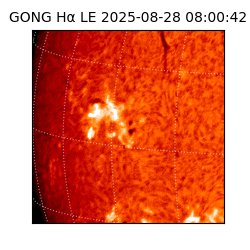 gong - 2025-08-28T08:00:42