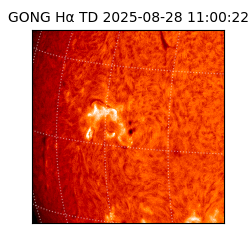 gong - 2025-08-28T11:00:22