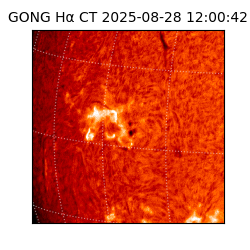 gong - 2025-08-28T12:00:42