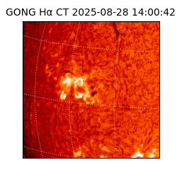 gong - 2025-08-28T14:00:42