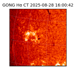 gong - 2025-08-28T16:00:42