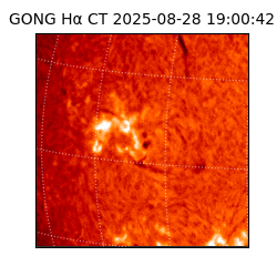 gong - 2025-08-28T19:00:42