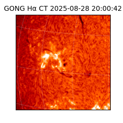 gong - 2025-08-28T20:00:42