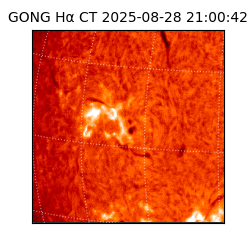 gong - 2025-08-28T21:00:42