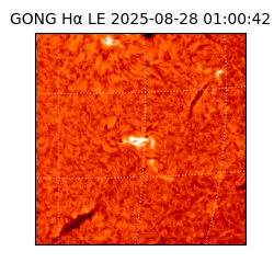 gong - 2025-08-28T01:00:42