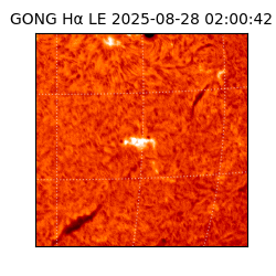 gong - 2025-08-28T02:00:42