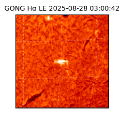 gong - 2025-08-28T03:00:42