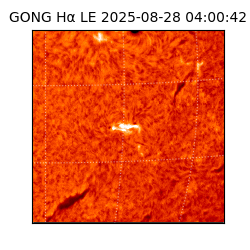 gong - 2025-08-28T04:00:42