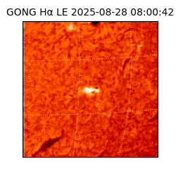 gong - 2025-08-28T08:00:42