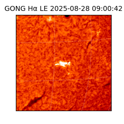 gong - 2025-08-28T09:00:42