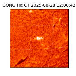 gong - 2025-08-28T12:00:42