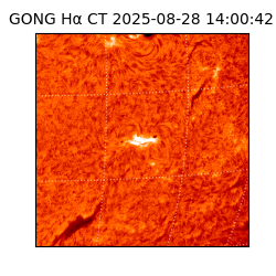 gong - 2025-08-28T14:00:42