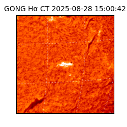 gong - 2025-08-28T15:00:42